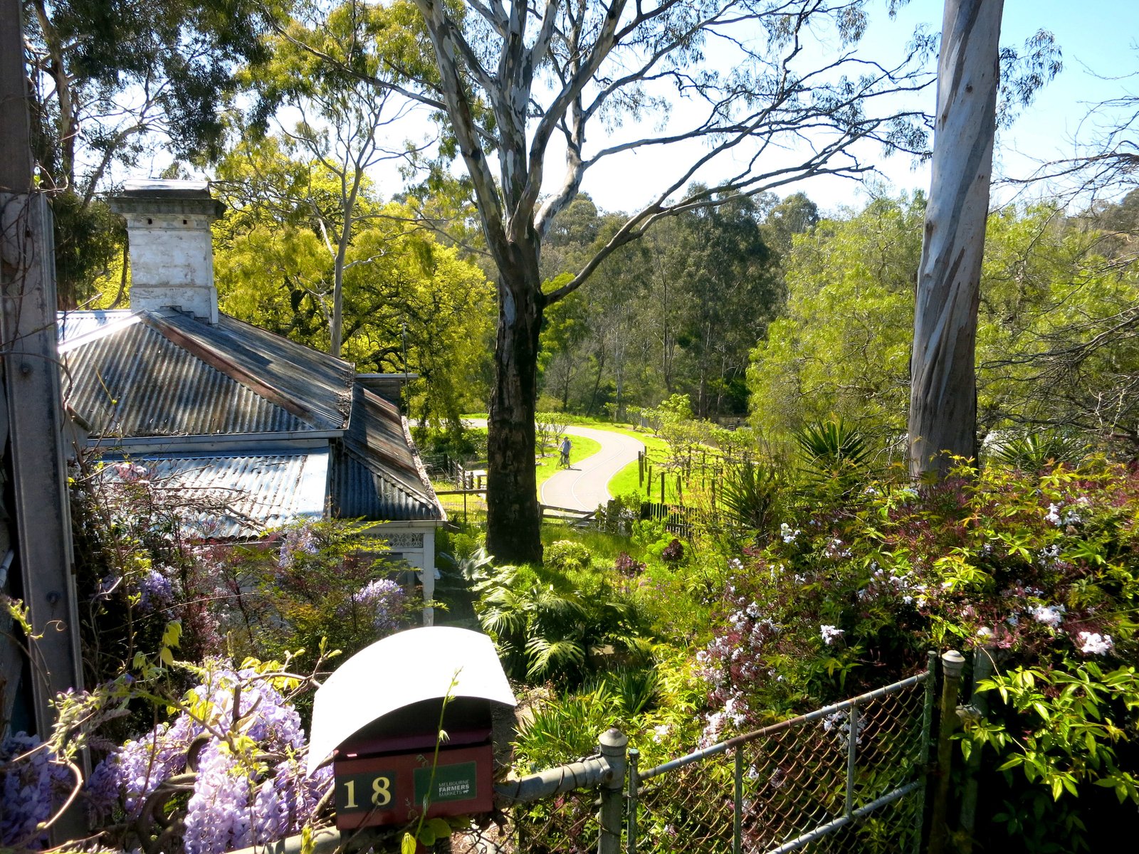 Yarra Trail